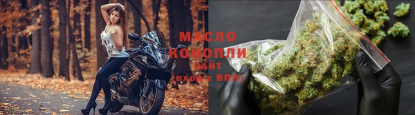 гашик Майский