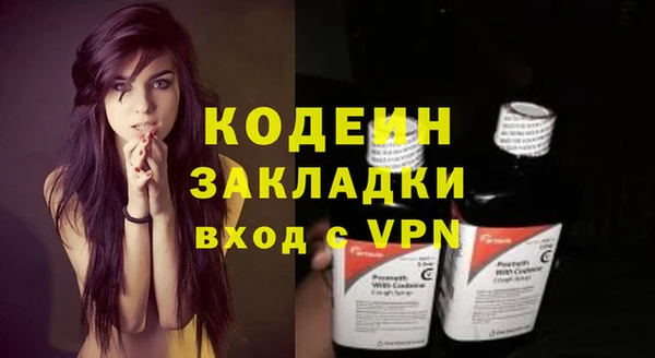 гашик Майский