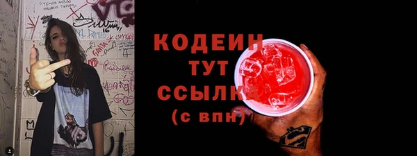 гашик Майский