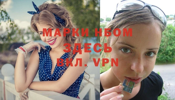 гашик Майский