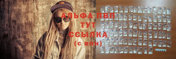 стаф Осташков