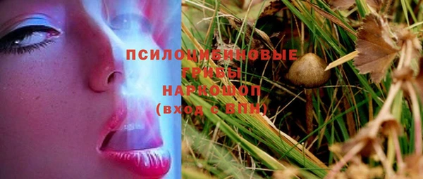 гашик Майский