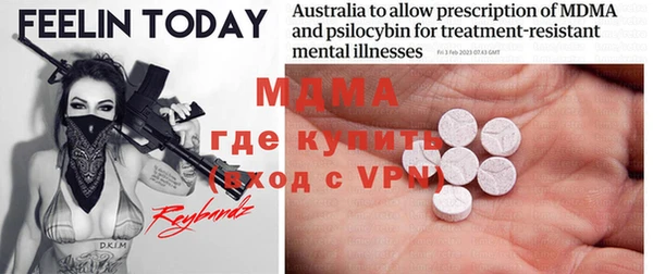 прущие грибы Коряжма