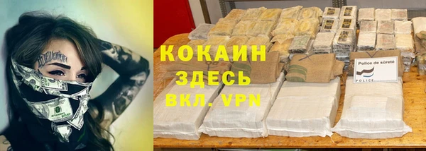 гашик Майский