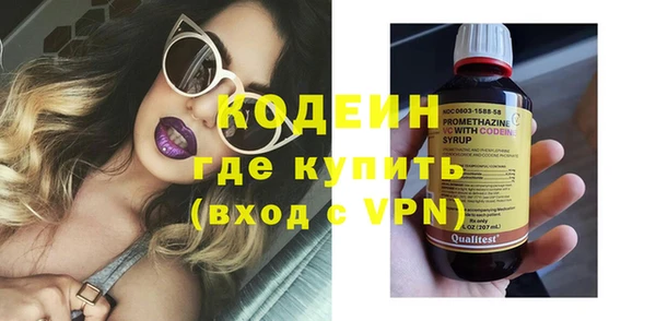 хмурый Корсаков