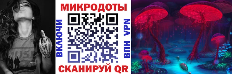 Псилоцибиновые грибы Psilocybine cubensis Новотроицк